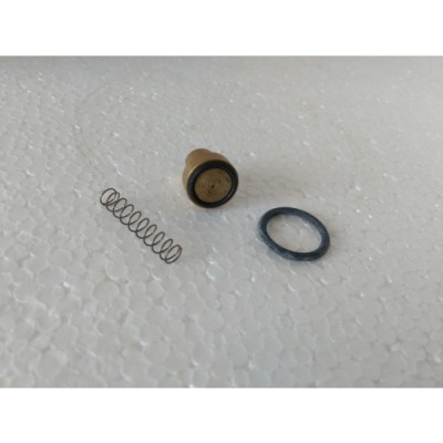 SEAL KIT CHECK VALVE-1/2"NRV